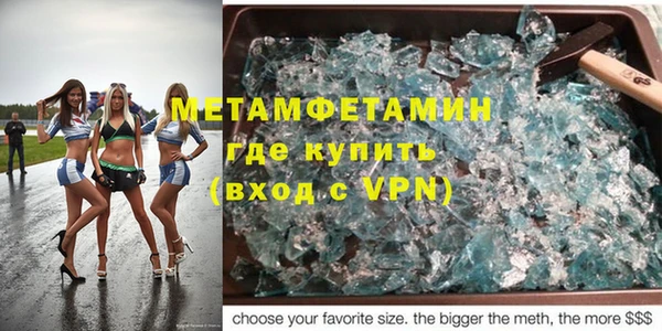 прущие грибы Вяземский