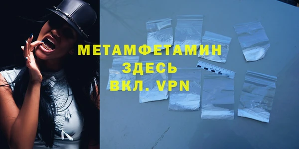 прущие грибы Вяземский