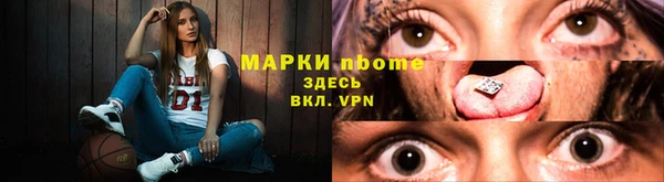 прущие грибы Вяземский