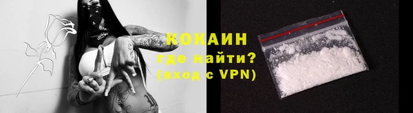 стаф Горняк