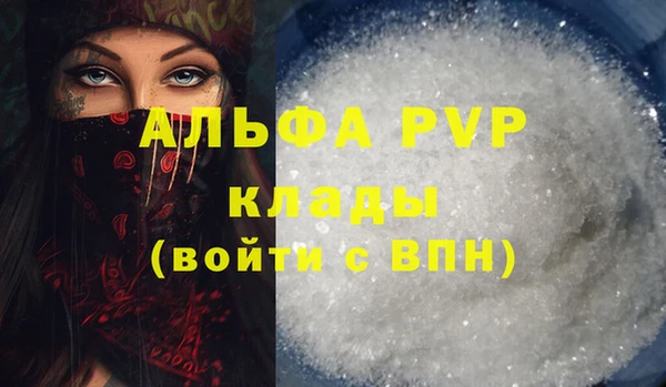 прущие грибы Вяземский
