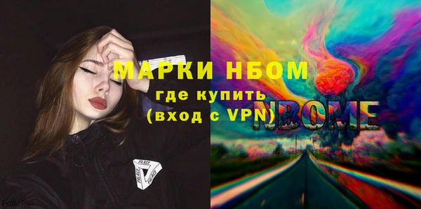прущие грибы Вяземский