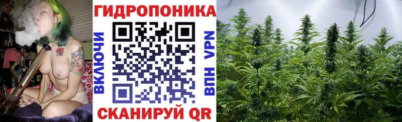 наркота  Дивногорск  Конопля SATIVA & INDICA 